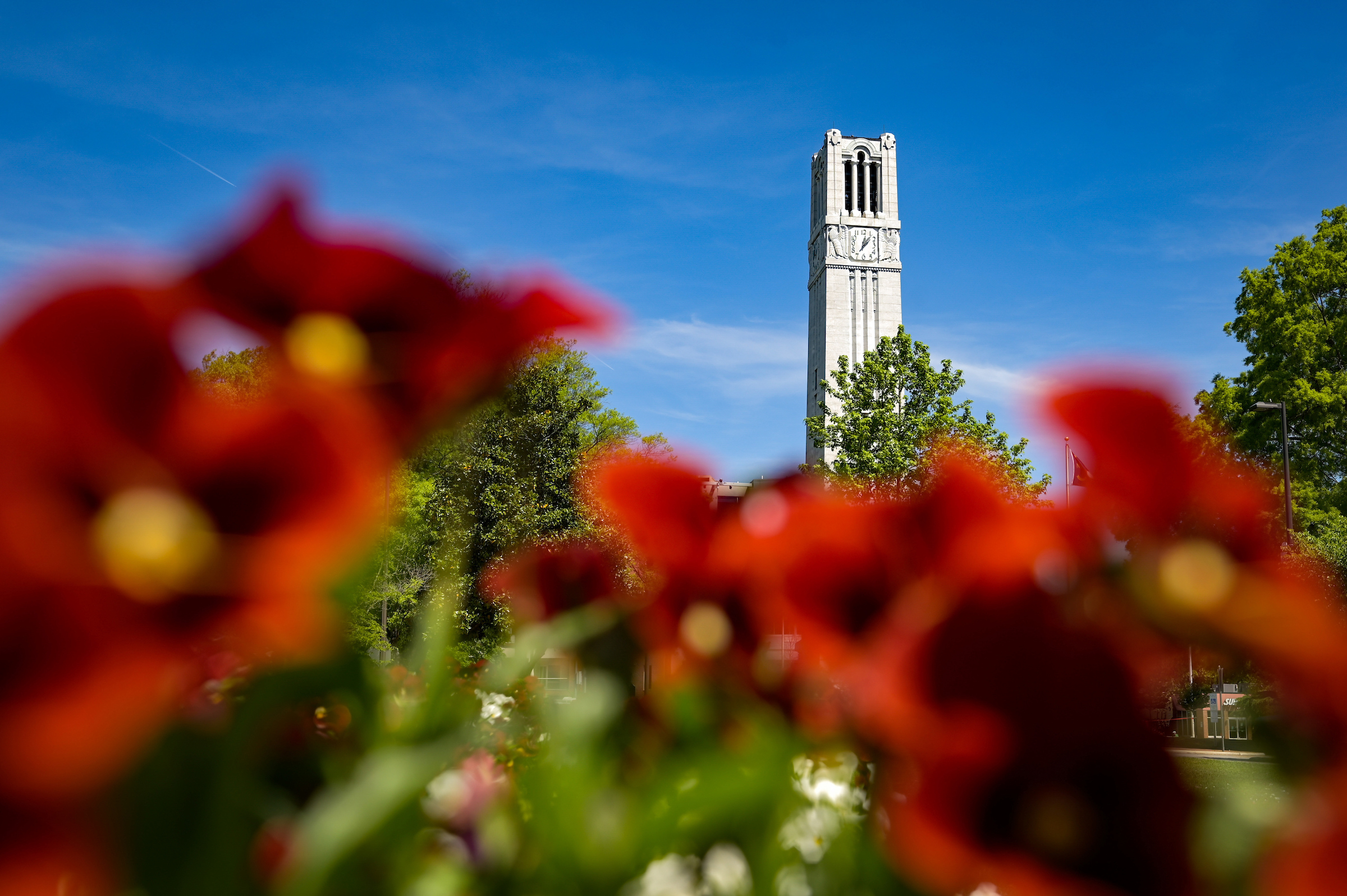 Spring blooms around the Memorial Belltower on an April afternoon.
