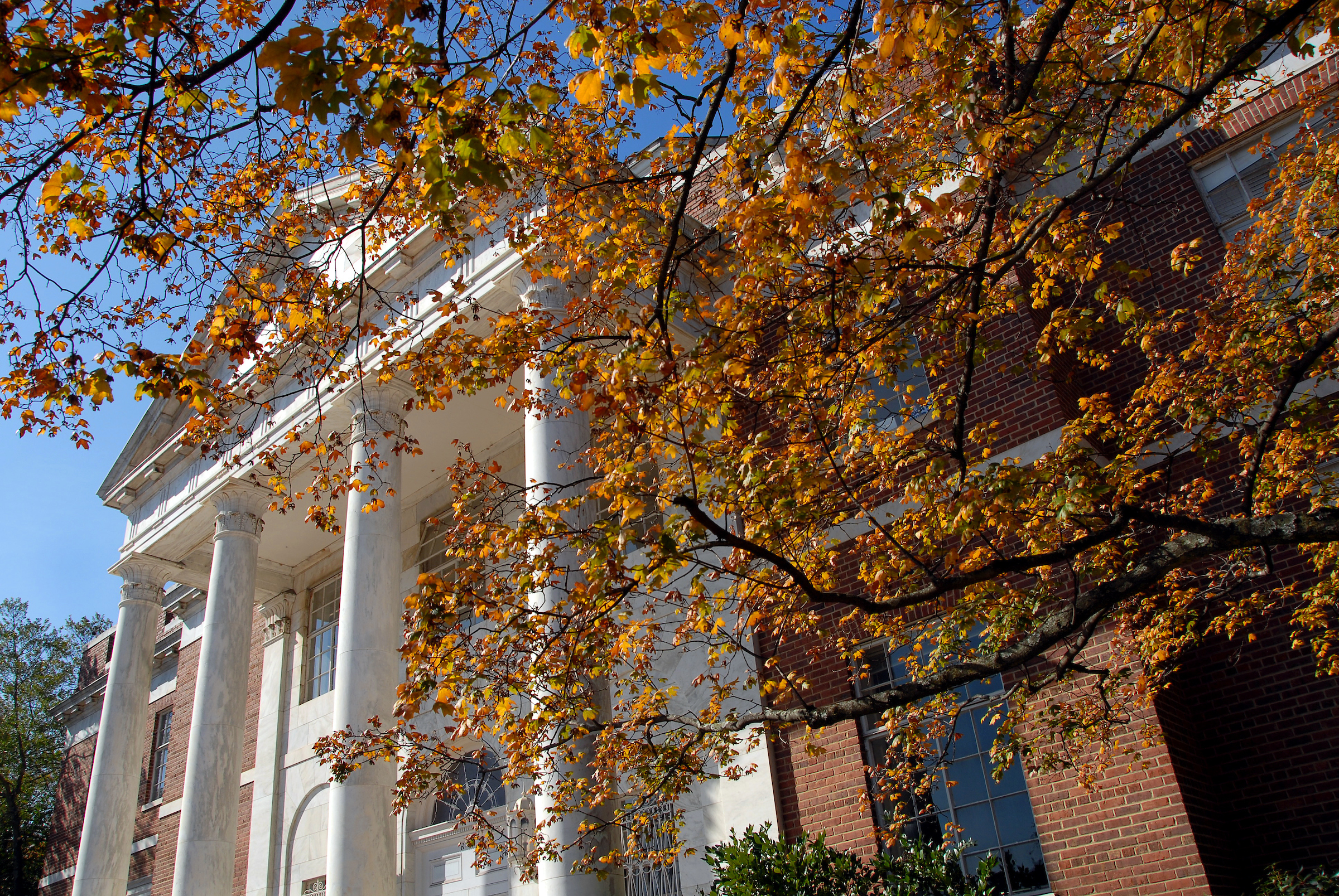 Fall leaves in front of Brooks Hall. 
